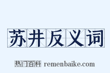 苏井反义词是什么意思的图片